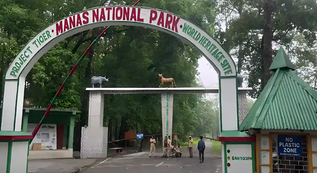 2 Nights 3 Days, ASSAM MEGHALAYA TOURS (MANAS NATIONAL PARK)