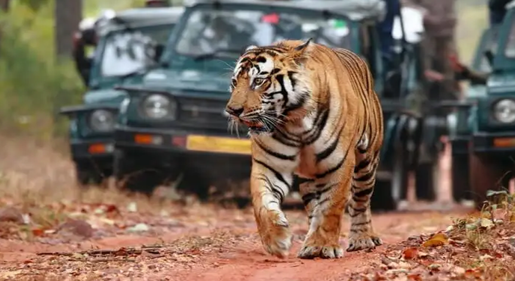 Golden Triangle Tour – 3 Nights / 4 Days