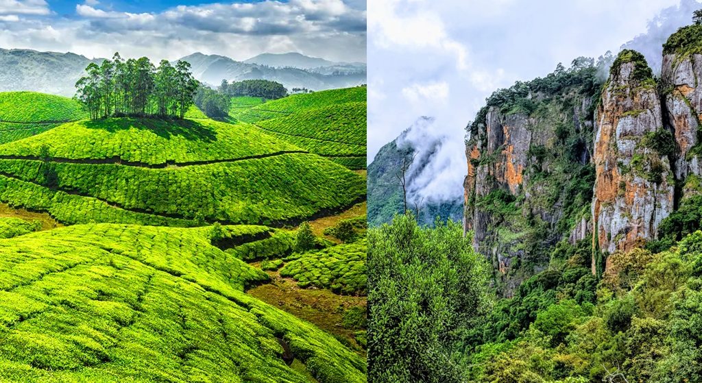 7 Days / 6 Nights Package: GLIMPSE OF SOUTH