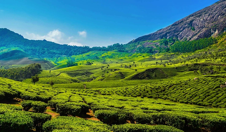 Kerala : God’s Own Country