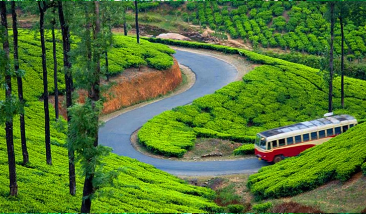 Kerala : God’s Own Country