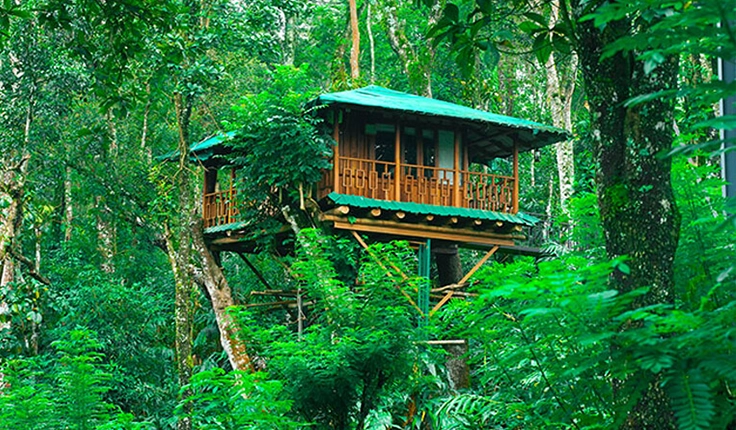 Kerala : God’s Own Country